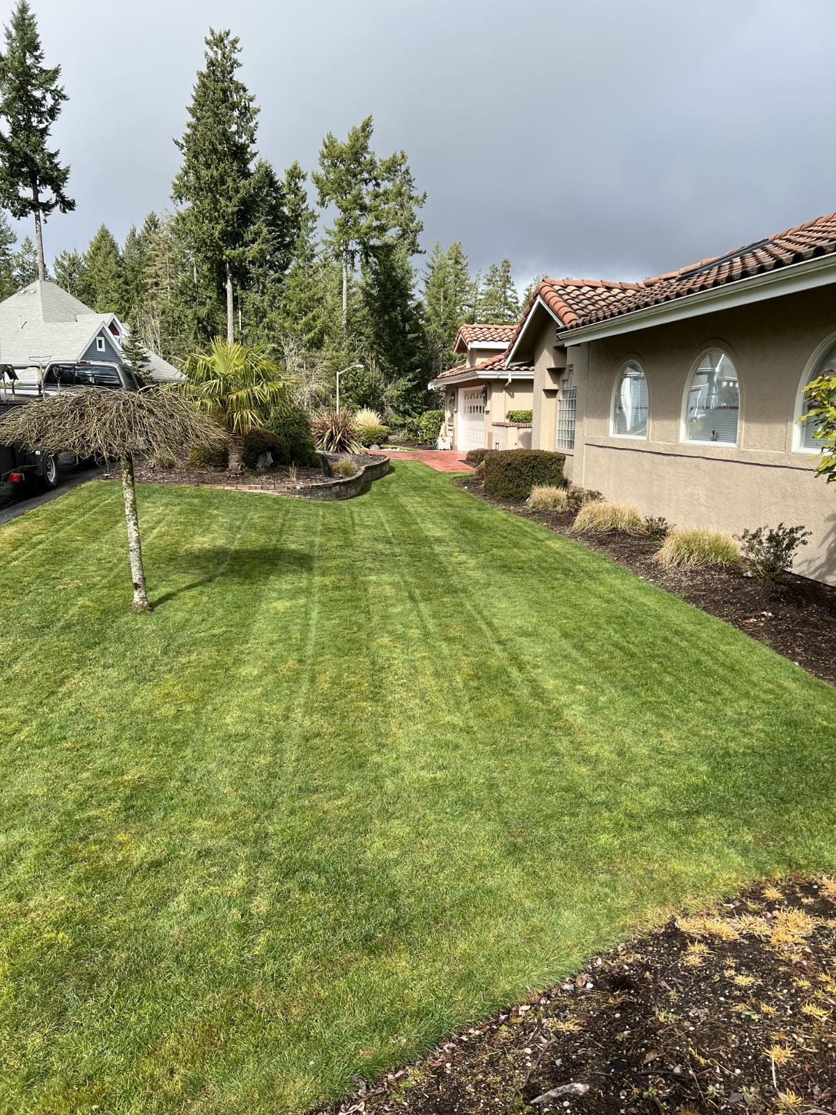 Property cleanup in Kitsap County by A to Z Landscaping